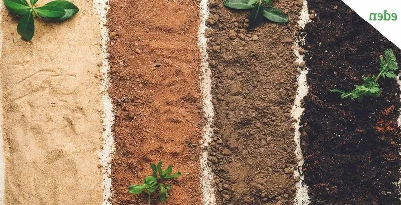 Soil Classification Image